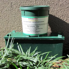 TermiBrick Termite Trap